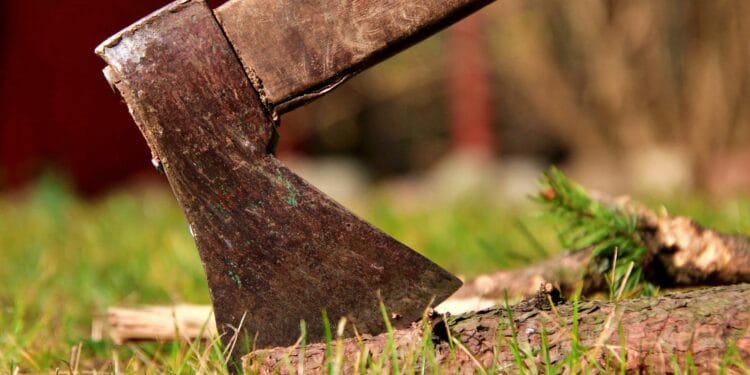 Tânără omorâtă de concubin cu toporul. A lovit-o în cap și a abandonat-o într-o baltă de sânge!