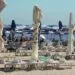 Piedone a ”plecat” pe litoral. Nu în concediu, în control! Deja inspectorii au descoperit nereguli grave, atât la magazine, cât și la unitățile hoteliere!