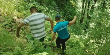 A furat un telefon de la un copil, apoi a fost nevoit să sune la Poliție! Motivul e cel mai tare!