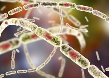 ANTRAXUL se confirmă în România! O femeie a decedat iar două persoane au simptome și sunt internate la Matei Balș!