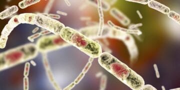 ANTRAXUL se confirmă în România! O femeie a decedat iar două persoane au simptome și sunt internate la Matei Balș!