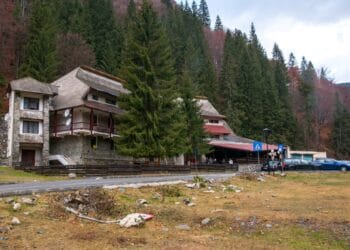 Festival unde festinul culinar și artiștii populari, vor încânta toate genurile de spectatori. Locația, una de vis, celebra Cabană Voina!