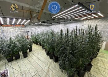 Un polițist a dezvoltat o afacere bănoasă. În business se afla și soția omului legii! Din păcate colegii polițistului, cei de la DIICOT, au zis că e ilegal ce face!