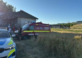 Copil de aproape 3 ani accidentat mortal. A fost pe marginea unei șosele și a fost spulberat de o mașină