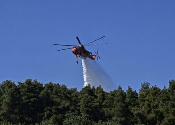 Pompierii se luptă cu două incendii de vegetație. Ard pădurile, iar temperaturile și vântul întrețin focul!