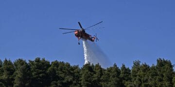 Pompierii se luptă cu două incendii de vegetație. Ard pădurile, iar temperaturile și vântul întrețin focul!