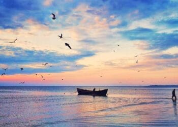 ANPC descoperă tot mai multe nereguli pe litoralul românesc! Turiștii au fost puși în pericol de operatorii de la Marea Neagră!