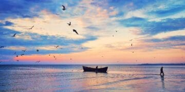 ANPC descoperă tot mai multe nereguli pe litoralul românesc! Turiștii au fost puși în pericol de operatorii de la Marea Neagră!