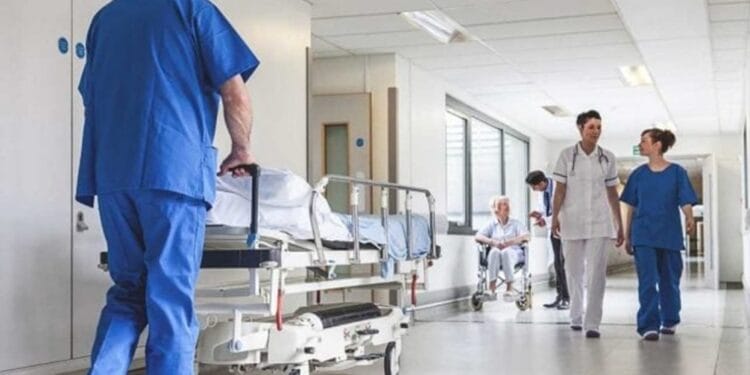 După aproape două decenii s-a înregistrat primul deces din cauza ciumei! Aceasta formă de boală se transmite prin mușcătura puricilor infectați!