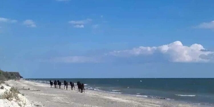 Cele mai spectaculoase plaje din România! Sunt locurile de care puțini turiști români au auzit!