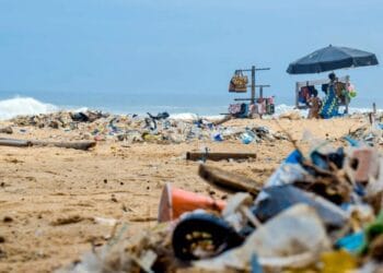 Plajele din România sunt sufocate de gunoaie! Aceste resturi menajere sunt adunate în fiecare seară de tinerii care lucrează pe plaje