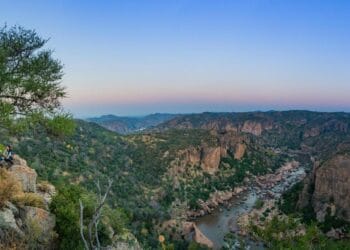 Reformarea Romsilva. Ministrul Mediului: ”Reducerea numărului de directori şi limitarea sporurilor nejustificate”