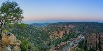 Reformarea Romsilva. Ministrul Mediului: ”Reducerea numărului de directori şi limitarea sporurilor nejustificate”