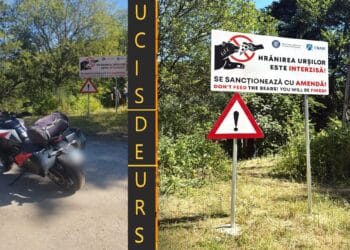 Turist italian ucis de urs pe Transfăgărășan. Salvatorii l-au găsit după o oră de căutări! Ursoaica care l-a atacat a urmărit din tufe toată procedura celor care au intervenit!