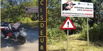 Turist italian ucis de urs pe Transfăgărășan. Salvatorii l-au găsit după o oră de căutări! Ursoaica care l-a atacat a urmărit din tufe toată procedura celor care au intervenit!