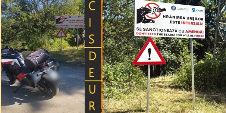 Turist italian ucis de urs pe Transfăgărășan. Salvatorii l-au găsit după o oră de căutări! Ursoaica care l-a atacat a urmărit din tufe toată procedura celor care au intervenit!