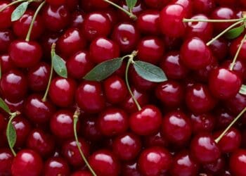 Dispar fructele românești! Tot mai mulți fermieri se văd nevoiți să își vândă terenurile agricole!