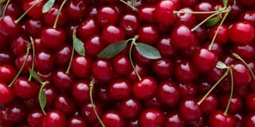 Dispar fructele românești! Tot mai mulți fermieri se văd nevoiți să își vândă terenurile agricole!