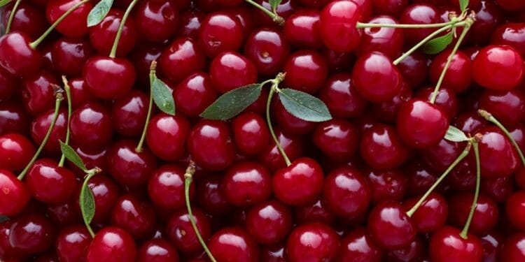 Dispar fructele românești! Tot mai mulți fermieri se văd nevoiți să își vândă terenurile agricole!