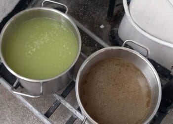 Și fără PIEDONE, inspectorii ANPC, au aplicat amenzi foarte, foarte mari pe litoral!