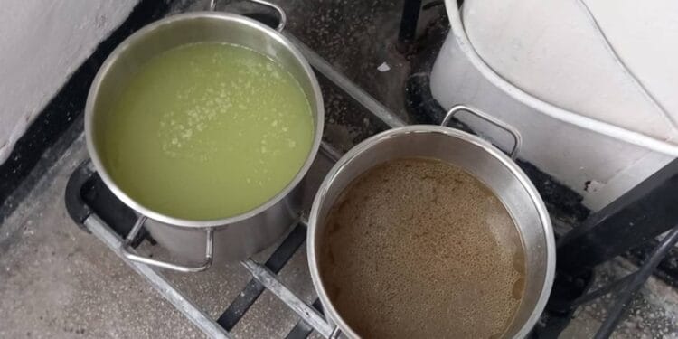 Și fără PIEDONE, inspectorii ANPC, au aplicat amenzi foarte, foarte mari pe litoral!