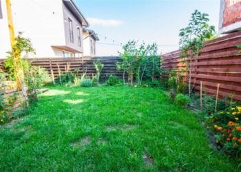 Ce NU trebuie să faci dacă locuiești la curte! Românii care comit o asemenea greșeală sunt vizați de amenzi foarte mari!