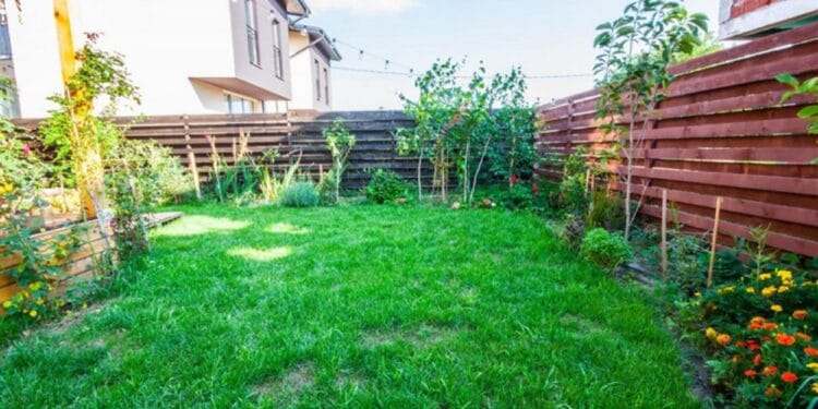 Ce NU trebuie să faci dacă locuiești la curte! Românii care comit o asemenea greșeală sunt vizați de amenzi foarte mari!