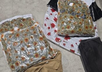 Bărbat reținut pentru trafic internațional de droguri! A fost prins în flagrant cu multe kilograme de canabis!