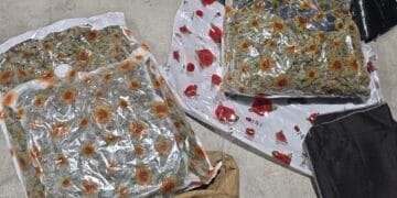 Bărbat reținut pentru trafic internațional de droguri! A fost prins în flagrant cu multe kilograme de canabis!