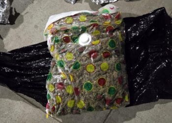 La ce mai servesc firmele de curierat pentru unii! Transportul de droguri pentru dealeri!