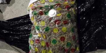 La ce mai servesc firmele de curierat pentru unii! Transportul de droguri pentru dealeri!