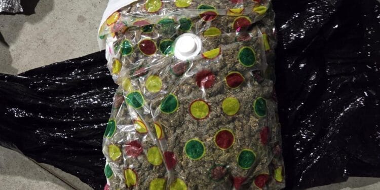 La ce mai servesc firmele de curierat pentru unii! Transportul de droguri pentru dealeri!