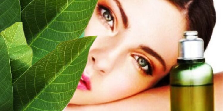 Din bătrâni, frunzele de nuc sunt folosite în diferite moduri! Iată ce beneficii aduc și cum pot fi utilizate!