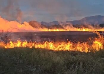 Incendiu de proporții! Ard sute de hectare de vegetație uscată! Focul s-a extins la case