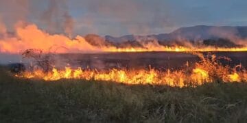 Incendiu de proporții! Ard sute de hectare de vegetație uscată! Focul s-a extins la case