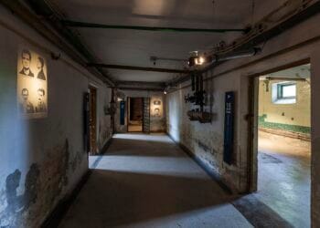 Închisoarea Pitești deschide expoziția „Limbajul care rămâne”. Proiectul aduce gesturi poetice, răspunsuri vizuale la rana adâncă lăsată de experimentul comunist!