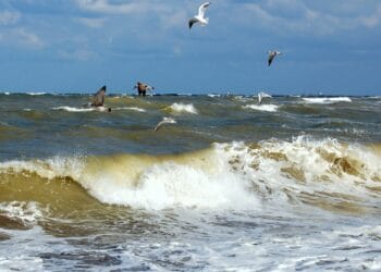 Mai mulți oameni și-au pierdut viața pe litoral! Au ignorat steagul roșu la salvatorilor!