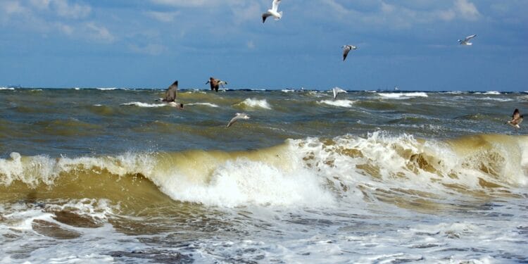 Mai mulți oameni și-au pierdut viața pe litoral! Au ignorat steagul roșu la salvatorilor!