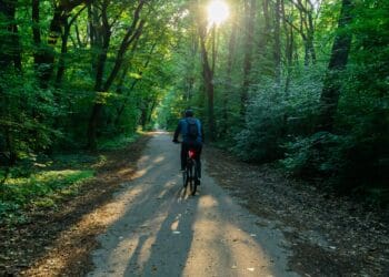 Pădurea Băneasa a intrat în atenția ministrului Mediului. Buzoianu a anunțat că va începe demersurile pentru a o declara arie naturală protejată!