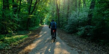 Pădurea Băneasa a intrat în atenția ministrului Mediului. Buzoianu a anunțat că va începe demersurile pentru a o declara arie naturală protejată!