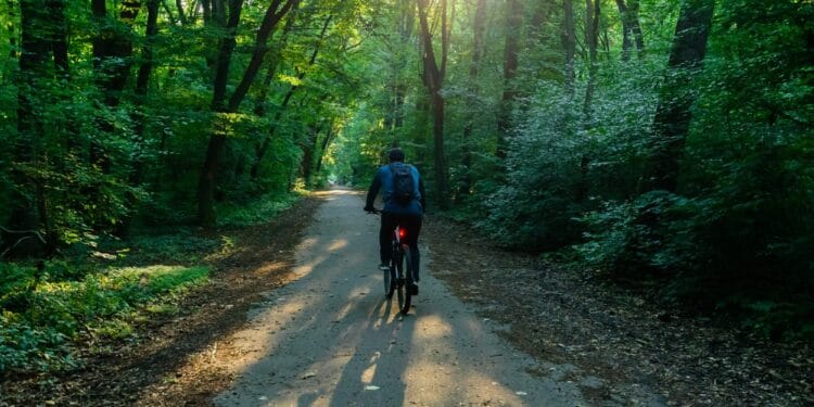 Pădurea Băneasa a intrat în atenția ministrului Mediului. Buzoianu a anunțat că va începe demersurile pentru a o declara arie naturală protejată!