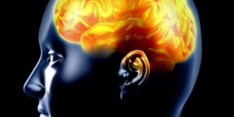 Mihaela Bilic: ”Fără grăsime creierul nostru se “stafidește” și moare!”