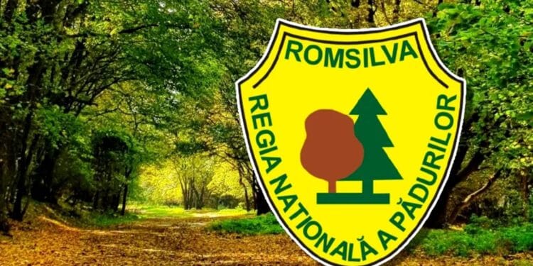 Ministrul Buzoianu vine cu o serie de precizări privind bonusurile de pensionare ale unor directori Romsilva!