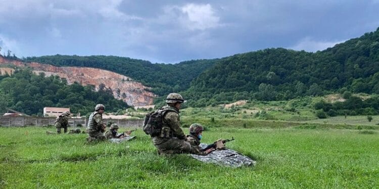 Sondajele arată că sunt tot mai multe persoane care doresc introducerea stagiului militar pe bază de voluntariat!