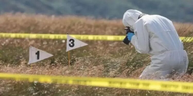 Cadavrul unui bărbat a fost descoperit pe un câmp! Polițiștii efectuează cercetări pentru a stabili identitatea victimei!