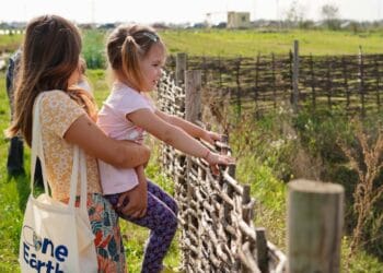 Sărbătoarea toamnei, cu gust local și activități pentru toate vârstele. Ziua Recoltei marchează 10 ani de agricultură ecologică și impact social la ferma bio&co