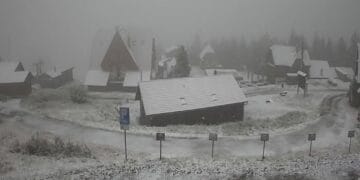 Alertă meteo în România. Primul strat de zăpadă s-a așternut, ploi, frig. Iarna își intră în drepturi, spre disperarea șoferilor