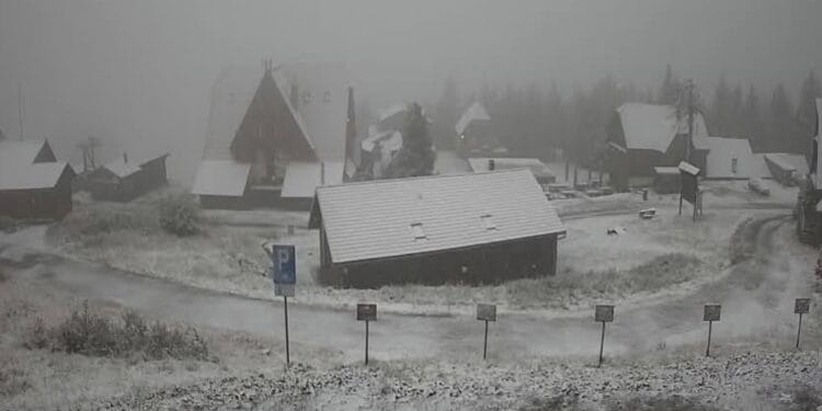 Alertă meteo în România. Primul strat de zăpadă s-a așternut, ploi, frig. Iarna își intră în drepturi, spre disperarea șoferilor