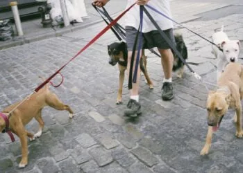 O nouă ocupație atrage atenția adolescenților. E bănoasă și nu foarte drastică. Va apărea și un curs pentru această specializare!