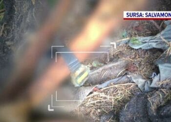 Rămășițe umane descoperite într-o zonă montană! Se pare că ar fi vorba despre un bărbat, iar decesul ar fi survenit în urmă cu peste 20 de ani!